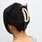 Chic Hair Claw